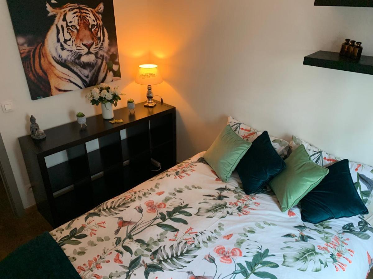 Bnb Antwerp Centrum Kültér fotó