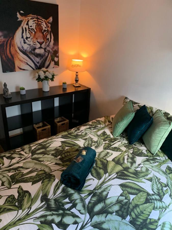 Bnb Antwerp Centrum Kültér fotó